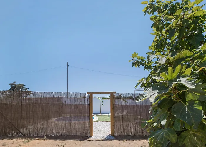 Estudio El Mirlo * Conil De La Frontera