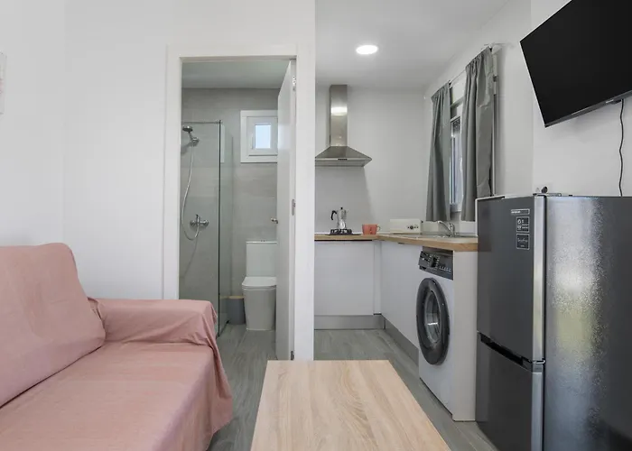 Estudio El Mirlo Conil De La Frontera