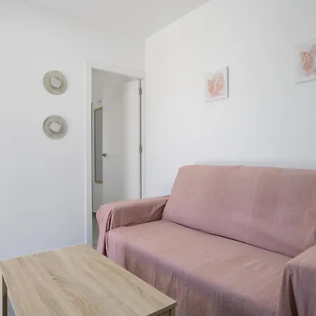 Estudio El Mirlo Conil De La Frontera